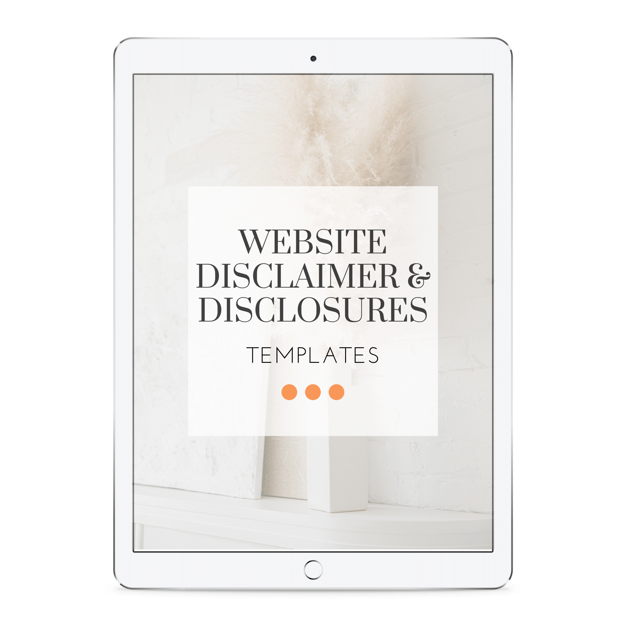 Website Disclaimers and Disclosures Template